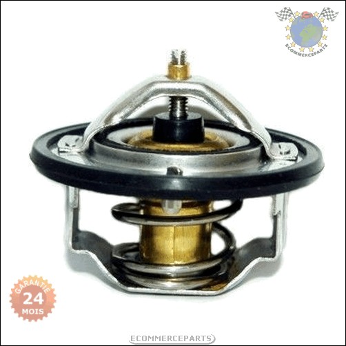 Thermostat D'eau Meat BEDFORD MIDI ISUZU TROOPER PIAZZA NISSAN MICRA II BLUEBIR